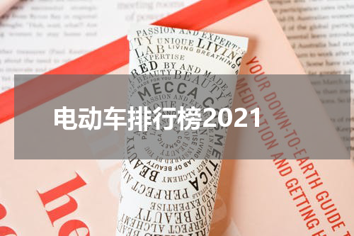 电动车排行榜2021