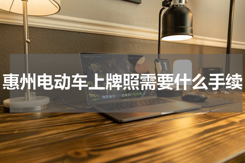 惠州电动车上牌照需要什么手续