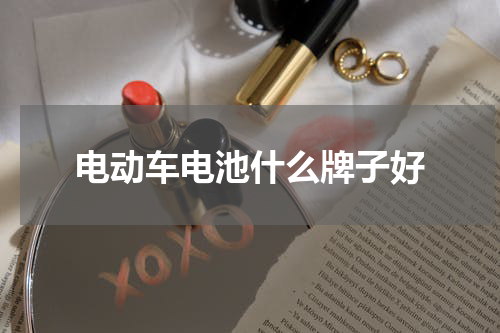 电动车电池什么牌子好