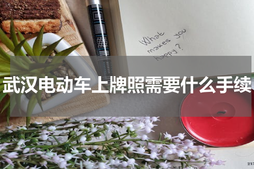 武汉电动车上牌照需要什么手续