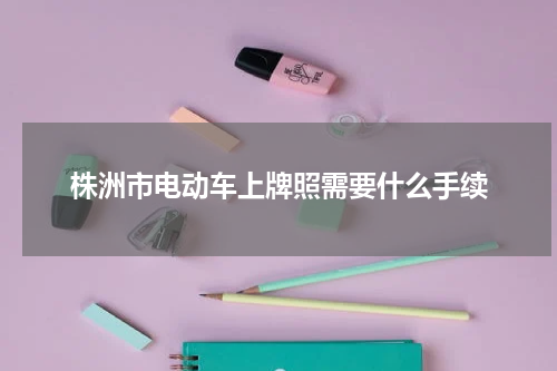 株洲市电动车上牌照需要什么手续