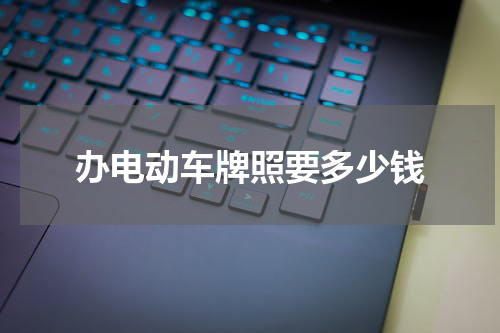 办电动车牌照要多少钱