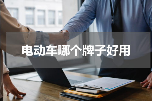 电动车哪个牌子好用