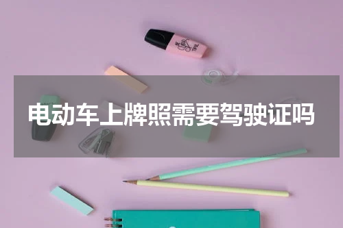 电动车上牌照需要驾驶证吗