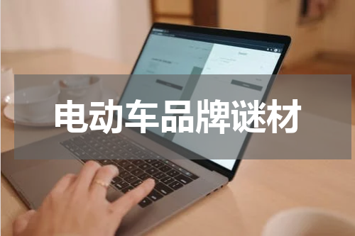 电动车品牌谜材