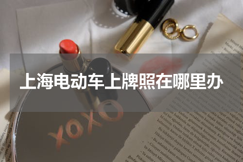 上海电动车上牌照在哪里办