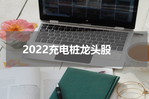 2022充电桩龙头股