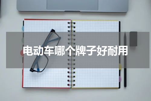 电动车哪个牌子好耐用
