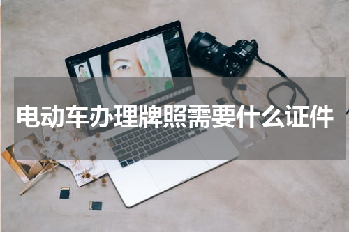 电动车办理牌照需要什么证件