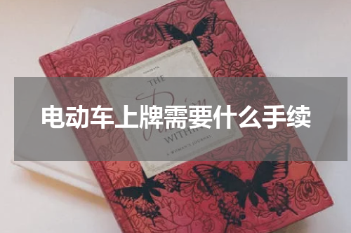 电动车上牌需要什么手续