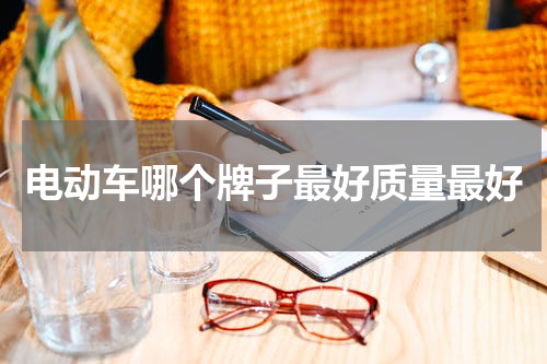 电动车哪个牌子最好质量最好