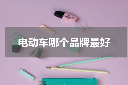 电动车哪个品牌最好