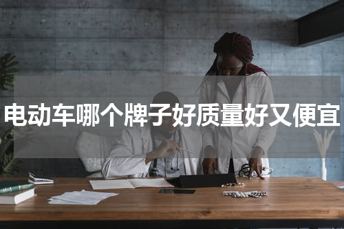 电动车哪个牌子好质量好又便宜