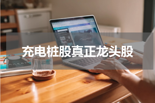 充电桩股真正龙头股