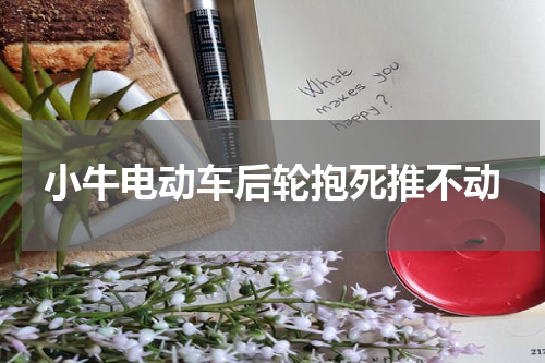 小牛电动车后轮抱死推不动