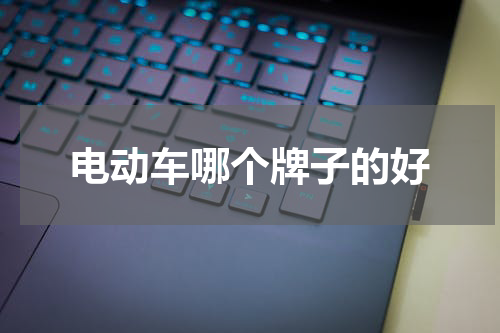电动车哪个牌子的好