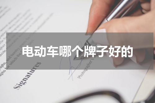 电动车哪个牌子好的