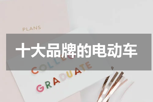 十大品牌的电动车