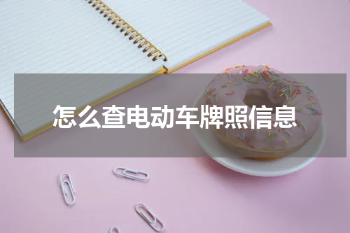 怎么查电动车牌照信息