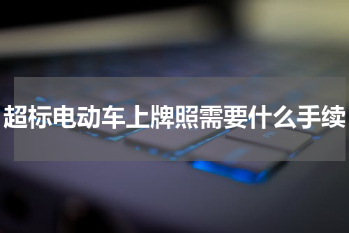 超标电动车上牌照需要什么手续