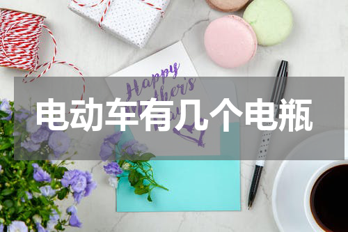 电动车有几个电瓶
