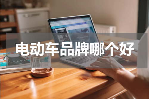 电动车品牌哪个好