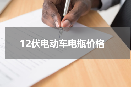 12伏电动车电瓶价格