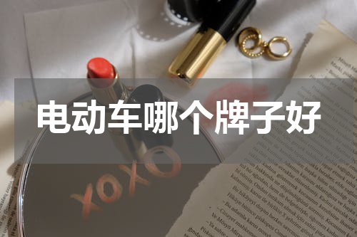 电动车哪个牌子好