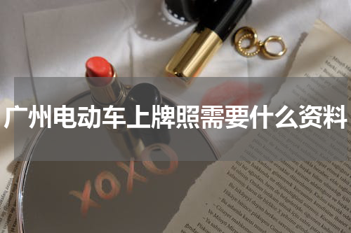 广州电动车上牌照需要什么资料