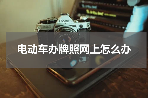 电动车办牌照网上怎么办