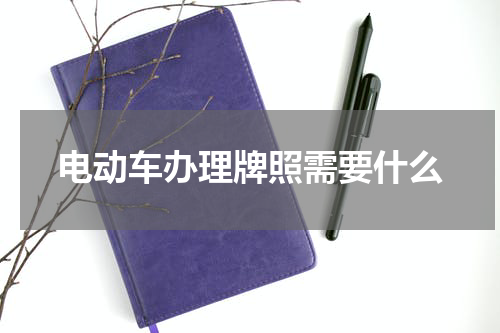 电动车办理牌照需要什么