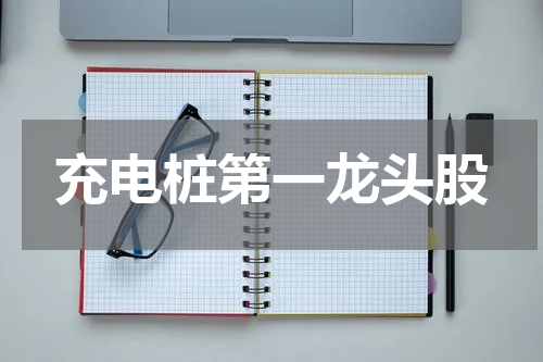充电桩第一龙头股