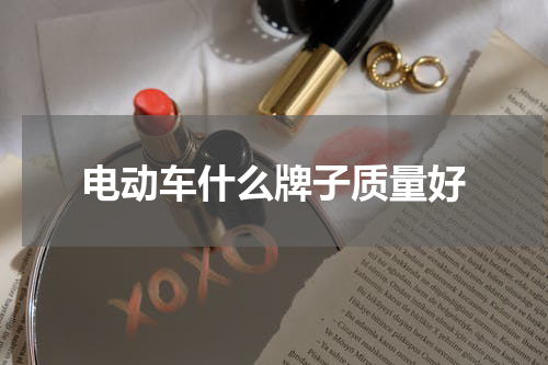 电动车什么牌子质量好