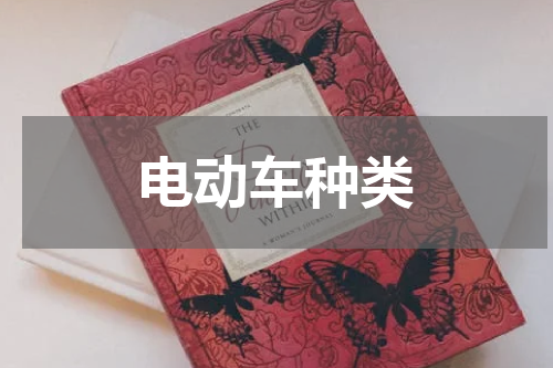 电动车种类