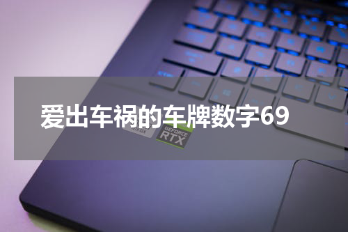 爱出车祸的车牌数字69 爱出车祸的车牌数字