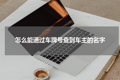 怎么能通过车牌号查到车主的名字