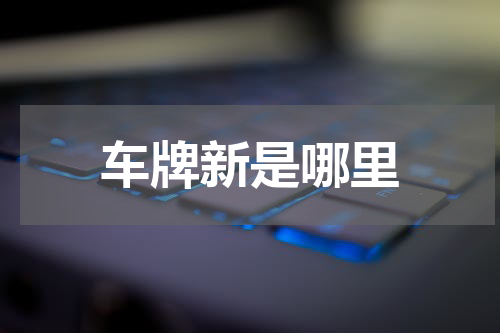 车牌新是哪里