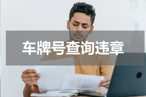 车牌号查询违章