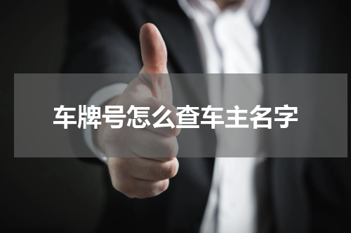 车牌号怎么查车主名字