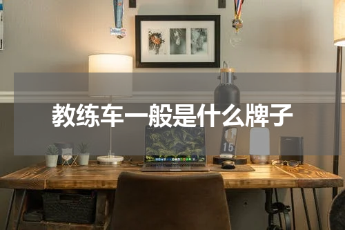 教练车一般是什么牌子