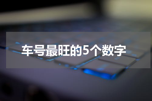 车号最旺的5个数字