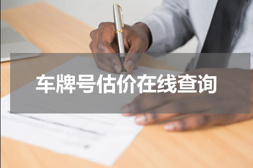 车牌号估价在线查询