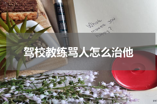 驾校教练骂人怎么治他