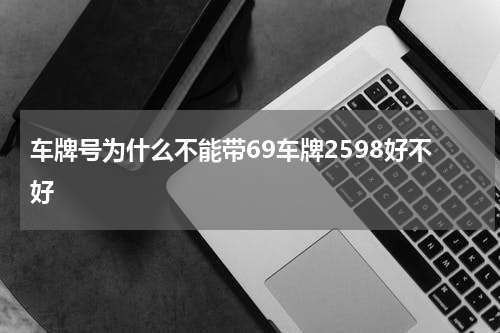 车牌号为什么不能带69车牌2598好不好