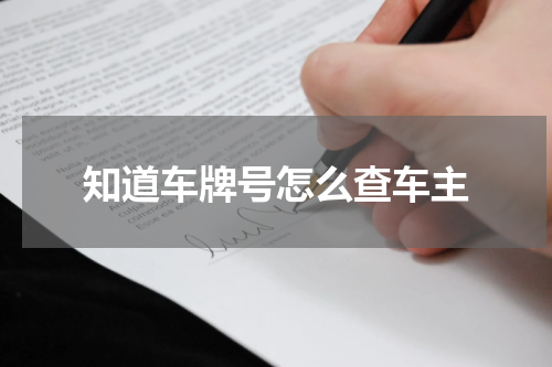 知道车牌号怎么查车主