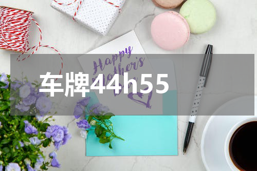 车牌44h55