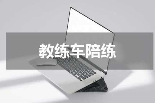 教练车陪练