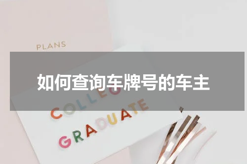 如何查询车牌号的车主