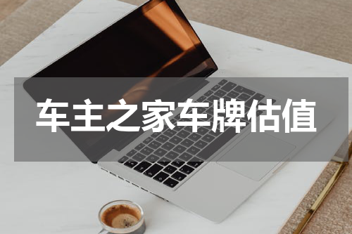 车主之家车牌估值