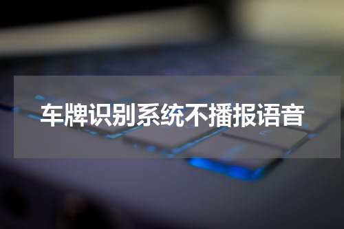 车牌识别系统不播报语音